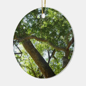 Sycamore Tree Green Nature Keramikornament (Links)