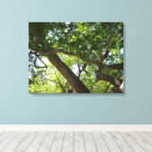 Sycamore Tree Green Nature Leinwanddruck (Insitu (Holzboden))