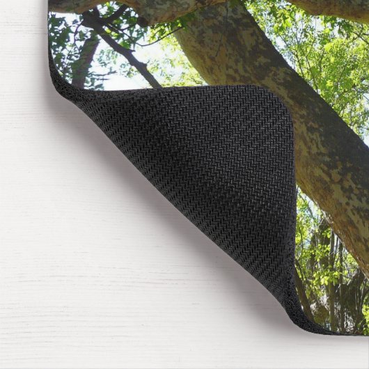 Sycamore Tree Green Nature Mousepad (Ecke)