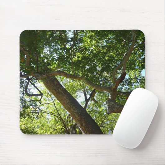 Sycamore Tree Green Nature Mousepad (Mit Mouse)