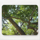 Sycamore Tree Green Nature Mousepad (Vorne)