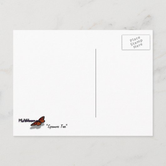 Sycamore Tree Green Nature Postkarte (Rückseite)