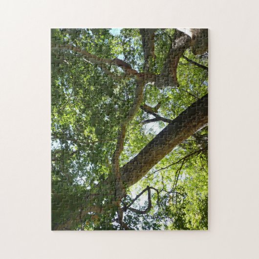 Sycamore Tree Green Nature Puzzle (Vertikal)