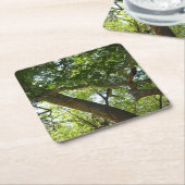 Sycamore Tree Green Nature Rechteckiger Pappuntersetzer (angewinkelt)
