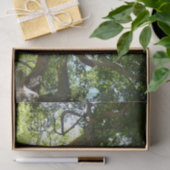 Sycamore Tree Green Nature Seidenpapier (Geschenk)