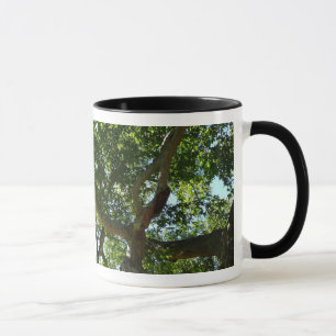 Sycamore Tree Green Nature Tasse