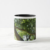 Sycamore Tree Green Nature Tasse (Zentrum)