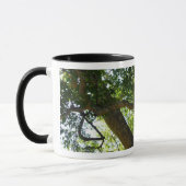 Sycamore Tree Green Nature Tasse (Links)