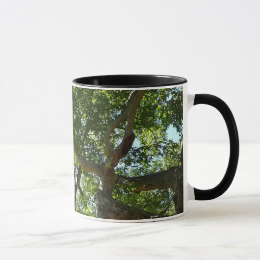 Sycamore Tree Green Nature Tasse (Rechts)