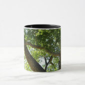 Sycamore Tree Green Nature Tasse (Zentrum)