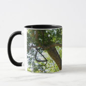 Sycamore Tree Green Nature Tasse (Links)