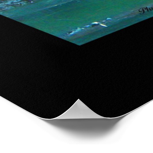 Sycamore Tree, Old Sycamore Poster (Ecke)