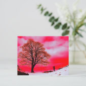 Sycamore Tree Postcard Postkarte (Stehend Vorderseite)