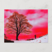 Sycamore Tree Postcard Postkarte (Vorderseite)