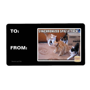 Sychronisierter Spaz-Angriff