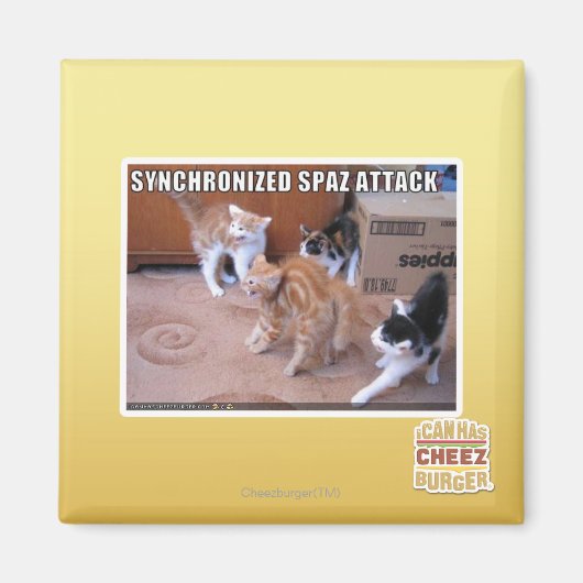 Sychronisierter Spaz-Angriff Magnet (Vorne)