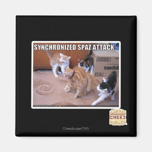Sychronisierter Spaz-Angriff Magnet (Vorne)