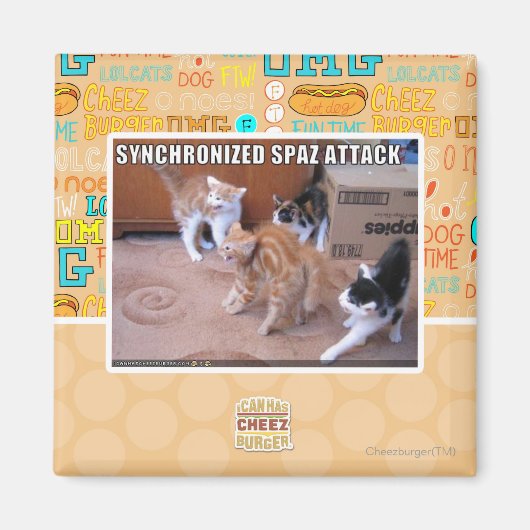 Sychronisierter Spaz-Angriff Magnet (Vorne)