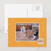 Sychronisierter Spaz-Angriff Postkarte (Vorne/Hinten)