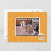 Sychronisierter Spaz-Angriff Postkarte (Vorne/Hinten)