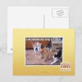 Sychronisierter Spaz-Angriff Postkarte (Vorne/Hinten)