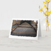 Sydney Cathedral pipe organ greeting card Karte (Gelbe Blume)