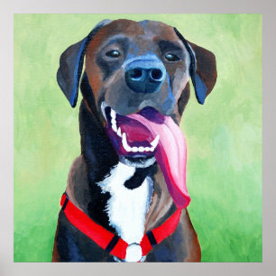 Sydney Dog Art Large Print Poster