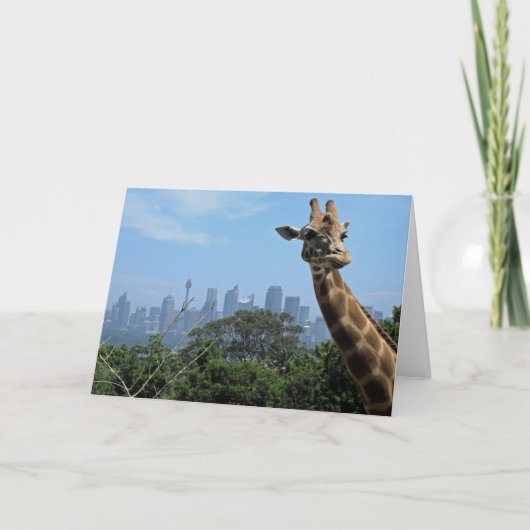 Sydney Giraffe Australia Blank Greeting Card Karte (Vorderseite)