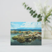 Sydney Great Barrier Reef Postkarte (Stehend Vorderseite)