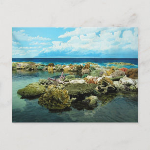 Sydney Great Barrier Reef Postkarte