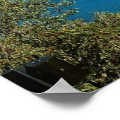 Sydney Harbor Poster (Ecke)