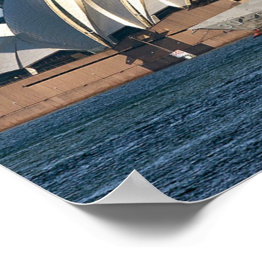 Sydney Harbor Poster (Ecke)