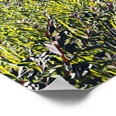 Sydney Harbour Bridge mit einheimischen Pflanze Poster (Ecke)