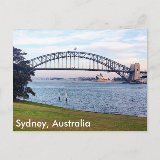Sydney Harbour Rasen Postkarte (Vorderseite)