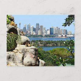 Sydney Harbour von der Zoo Postcard Postkarte