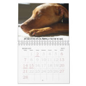 Sydney und Ziggi 2009 Kalender (Feb 2027)