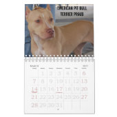 Sydney und Ziggi 2009 Kalender (Mär 2027)
