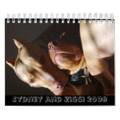 Sydney und Ziggi 2009 Kalender (Titelbild)