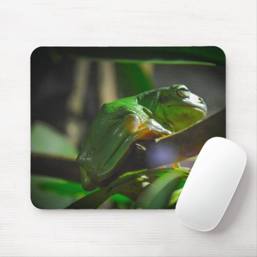 Sydney Zoo - Green Tree Frog Mousepad (Mit Mouse)