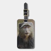 Sykes oder Blaffe, Cercopithecus mitis, Gepäckanhänger (Vorderseite vertikal)