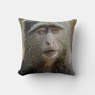 Sykes oder Blaffe, Cercopithecus mitis, Kissen