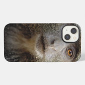 Sykes oder Blaffen, Cercopithecus mitis, iPhone Hülle (Rückseite (Horizontal))