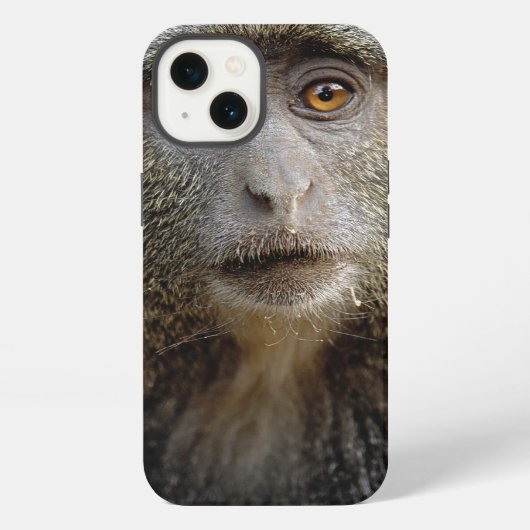 Sykes oder Blaffen, Cercopithecus mitis, iPhone Hülle (Rückseite)