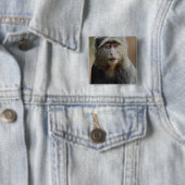Sykes oder Blauer Affe, Cercopithecus mitis, Button (Beispiel)
