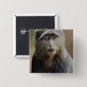 Sykes oder Blauer Affe, Cercopithecus mitis, Button (Vorne & Hinten)