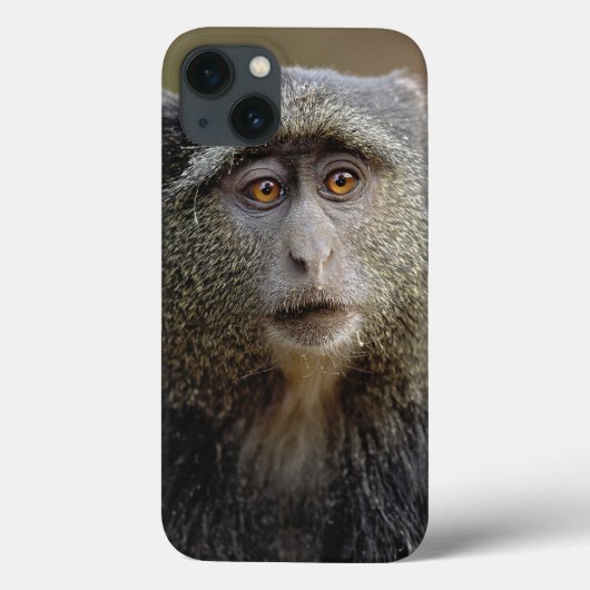 Sykes oder Blauer Affe, Cercopithecus mitis, Case-Mate iPhone Hülle (Rückseite)