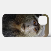 Sykes oder Blauer Affe, Cercopithecus mitis, Case-Mate iPhone Hülle (Rückseite (Horizontal))