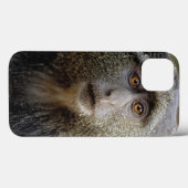 Sykes oder Blauer Affe, Cercopithecus mitis, Case-Mate iPhone Hülle (Rückseite (Horizontal))