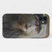 Sykes oder Blauer Affe, Cercopithecus mitis, Case-Mate iPhone Hülle (Rückseite (Horizontal))