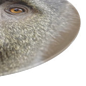 Sykes oder Blauer Affe, Cercopithecus mitis, Schneidebrett (Ecke)